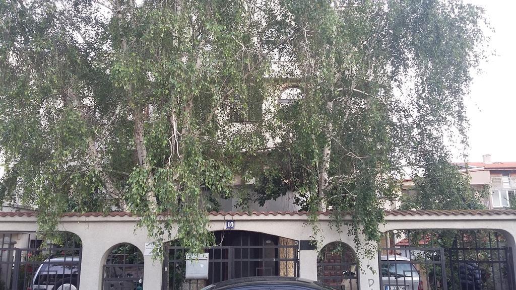 فندق Dvete Brezi بورغاس المظهر الخارجي الصورة